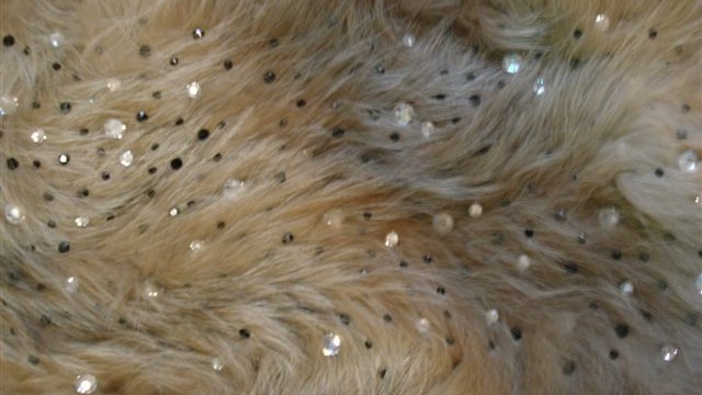 collection 4 strass spread on snow-top fox